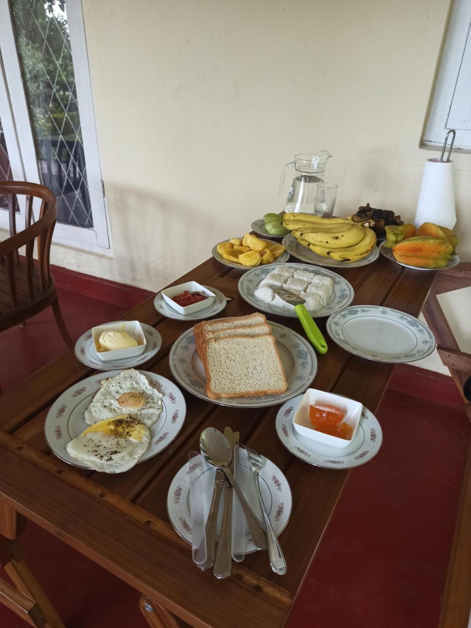 Hotel Squirrel'S Nest Kandy Zewnętrze zdjęcie