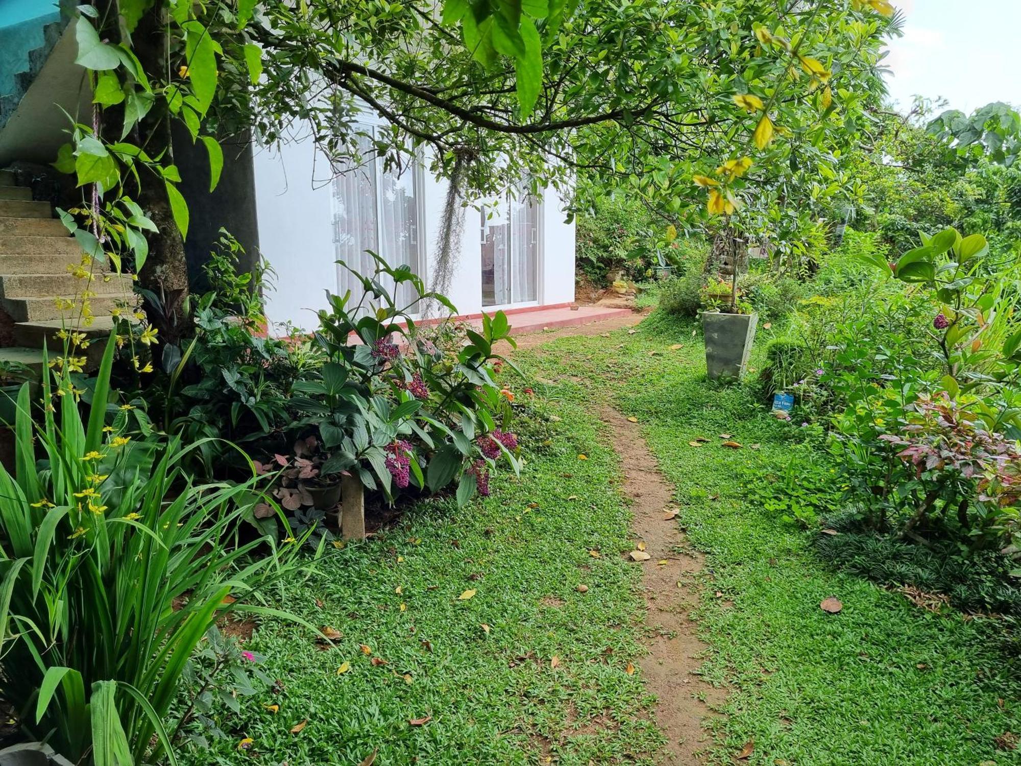 Hotel Squirrel'S Nest Kandy Zewnętrze zdjęcie
