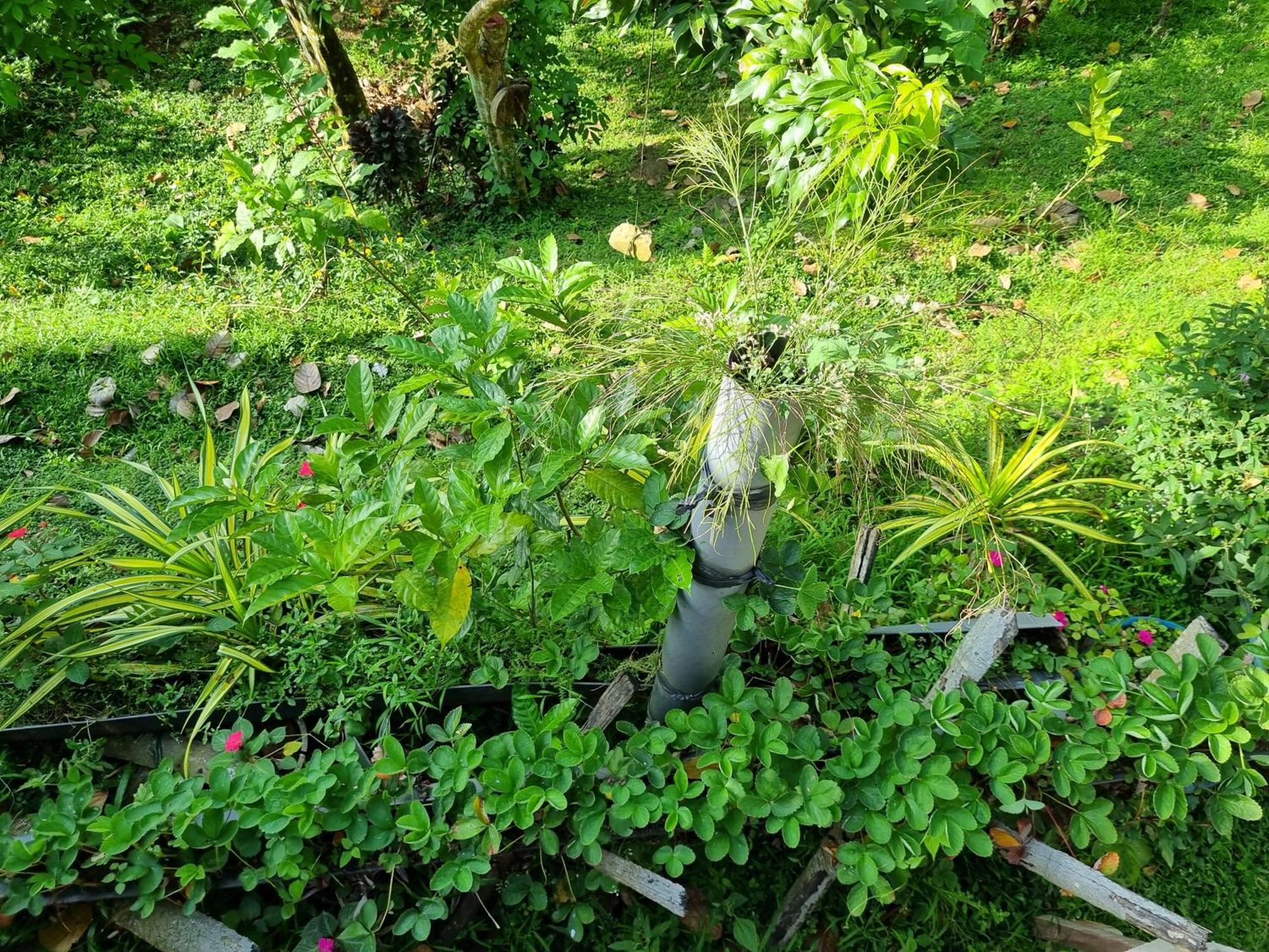Hotel Squirrel'S Nest Kandy Zewnętrze zdjęcie