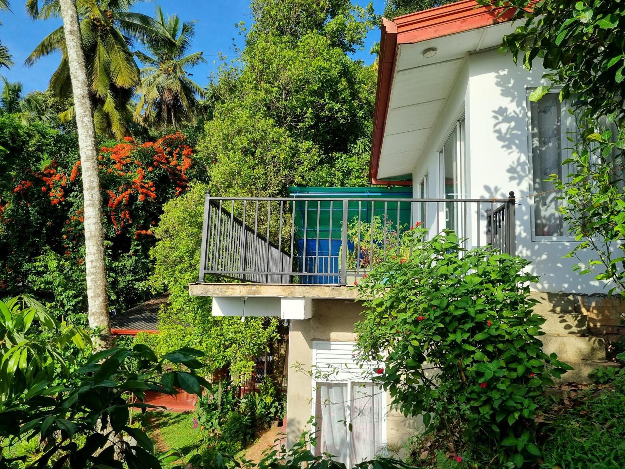 Hotel Squirrel'S Nest Kandy Zewnętrze zdjęcie